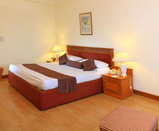 Hotel Hridey Inn Нью-Делі Номер фото